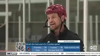 Former Arizona Coyote Michael Grabner now leading hockey&rsquo;s next generation