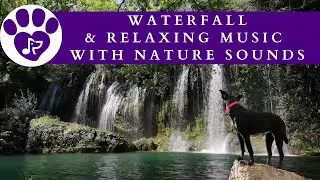Soothing Waterfall Sounds & Relaxing Pet Music (8 Hours) 🌿 Nature Ambience to Calm Down Dogs & Cats