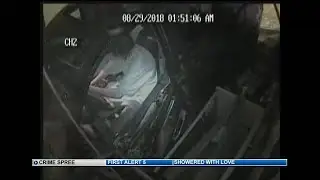 Colorado Springs Police investigating overnight crime spree