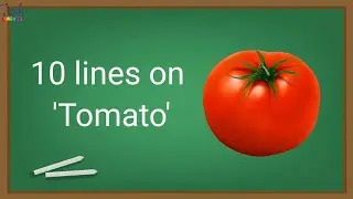 10 lines on tomato for class 1-5 | speech on tomato | essay on tomato |  #10LinesOnTomato