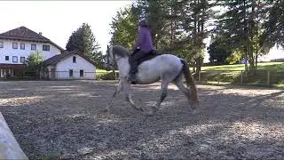 06 10 20 Reiten Barefoot