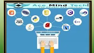 Website Development Expert / Company In Delhi India