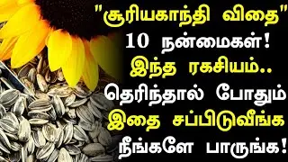 சூரியகாந்தி விதைகள் மருத்துவ நன்மைகள்! | Sun Flower Seeds Benefits in Tamil| Health Tips in Tamil n