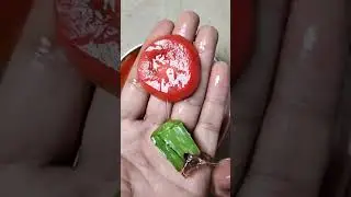 अपने बगीचे में hybrid टमाटर का पेड़ उगाएGrow hybrid tomato tree in your garden #shorts #short #tomato