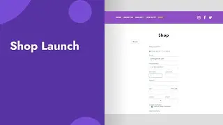3.6 Shop Launch