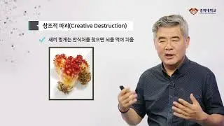 1-3 conceptual age