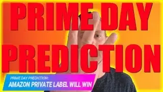 AMAZON PRIME DAY 2018 PREDICTION: THEIR PRIVATE LABEL AND OWN BRANDS WILL BE THE WINNERS