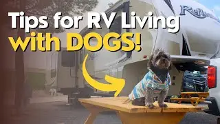 RV Living with Dogs: 5 Essential Tips for RV Life with Dogs