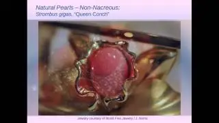 Rare Pearls and Latest Industry Trends with Blaire Beavers, GIA GG, AJP, Graduate Pearls
