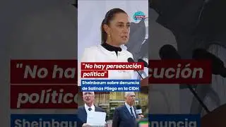 &ldquo;No hay persecuci&oacute;n pol&iacute;tica&rdquo;, dice Sheinbaum sobre denuncia de Salinas Pliego en CIDH
