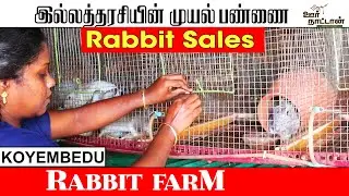 Rabbit Farm🐇🐰 in Chennai | முயல் பண்ணை | Oor naattan