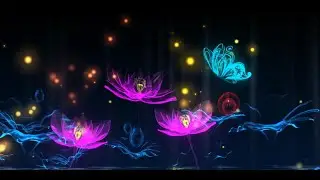 Lotus with Butterfly Flying Around | LED Video Background | Pikbest.com