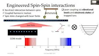 OpenQMBP2024, Joshi, Quantum Many-body Physics with Long Ion Strings
