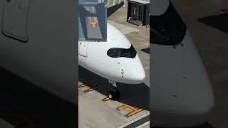 JAL A350 Blocks In at Haneda | Smooth Arrival Precision Parking