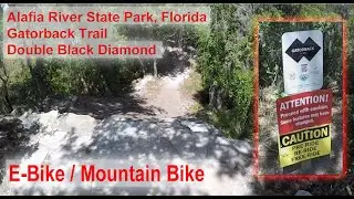 Alafia Florida Mt Bike Gatorback Trail, Double Black Diamond on SEM Venom Evolution 2.022 E-Bike