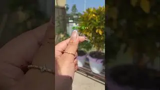 🍀#ytshorts #home #shorts #homedecor #gardening #garden #lines #lovegardening #trendingshorts #viral