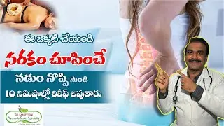 Reducing Back Pain Naturally by Ayurveda | Expert Insights Raghunathreddy | Sri Sanjivini Ayurveda