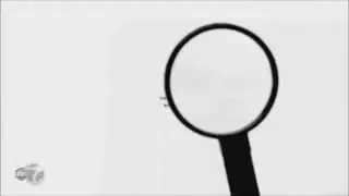 Fierce Baby Productions / The Detective Agency / 20th Century Fox Television