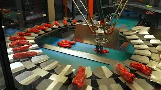 NPPL424215 Testlocatie van Gearbox en Frestia voor sorteerrobot voor puntpaprika's.