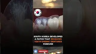 Scientists Discover First Real Tooth Regrowth Treatment &mdash; Dentistry Will Never Be the Same