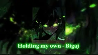 Holding my own - Bigaj (slowed & reverb)