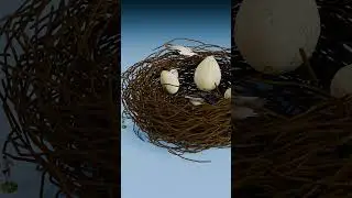 Птичий домик против гнезда динозавра