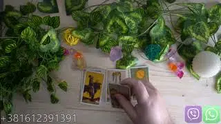 Lav - Ovu osoba ce promeni celu situaciju ! Prava ljubav je u pitanju ?💕Tarot Citanje 🔮