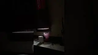 Brainwashed Meth Addicted Community Stalkers Follow Instructions to Noise Campaign My Bedroom