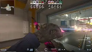 PREMIUM NEXUS CUP