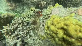 2024 03 25   Caticugan Marine Sanctuary
