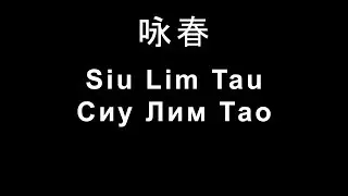 Siu Lim Tau, Сиу Лим Тао (начальная идея)