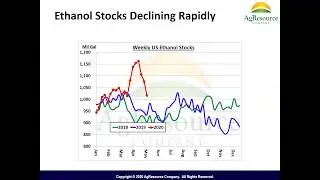 Global Grain Supply & Demand in the Era of Covid-19