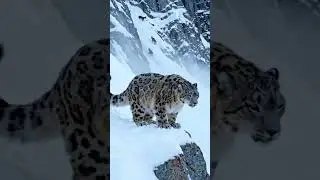 Mount Everest 🏔️ | The Deadliest Climb on Earth | Part 1