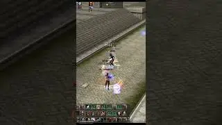Lineage 2 Adventurer 1 vs 4