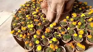 Shahid  ki awaz no  03032431054