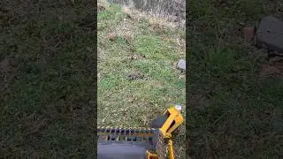 Snake strikes lawnmower 😮 #hunting #fishing #snake #ncoutdoors