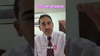Tribunal Colegiado de Apelaci&oacute;n y Tribunal Colegiado de Circuito.
