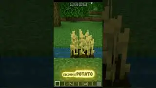 Minecraft facts you probably know 😂 #minecraft #facts #funny