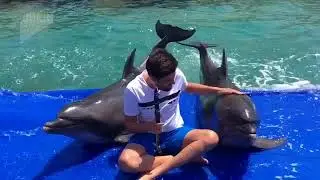 Dolphin Charmer