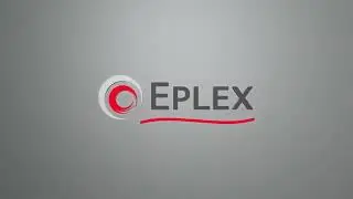 Как запустить Eplex 1C  в вашей базе 1С