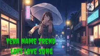 Tera name trend lofi song mashup 