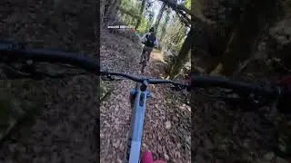 verso bosco blu Vr