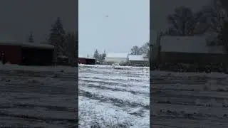 Post snowstorm. #snow #snowstorm #snowfall #eastcoastsnowstorm video 6