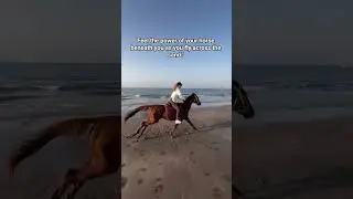 Horse Riding Oman | Beach horse riding Muscat | Horseback Riding in Muscat #horse #oman #omantourism