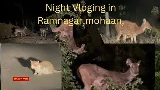 The Hidden Truth: Tiger Attacks and Wildlife in Ramnagar