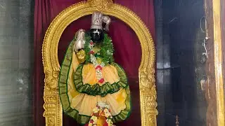 ఆండాళ్ తిరు నక్షత్ర అభిషేకం  అలంకారం అర్చన #andal #abhishekam #godadevi #andaltemple 
