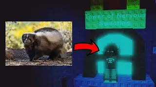 Tower of Nervous Sweating Completion (Terrifying) | Eternal Towers of Hell