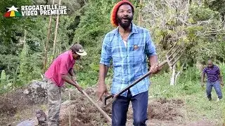 Colah Colah & Rub A Dub Band  - Bless Up The Farmers [Official Video 2018]
