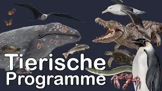 Tierische Programme - Beweis der Gaia-Hypothese?