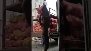 RE STUFFING CONTAINER EXPORT.  PADA JALAN 2X LIBURAN  TETAP KERJA DEMI KEPUASAN KLIEN & DAPUR NGEBU